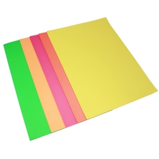 Copier Paper (100gsm) - A3 - Assorted Fluorescent - Pack of 100